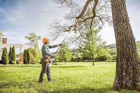 Tree Removal and Landscaping Services